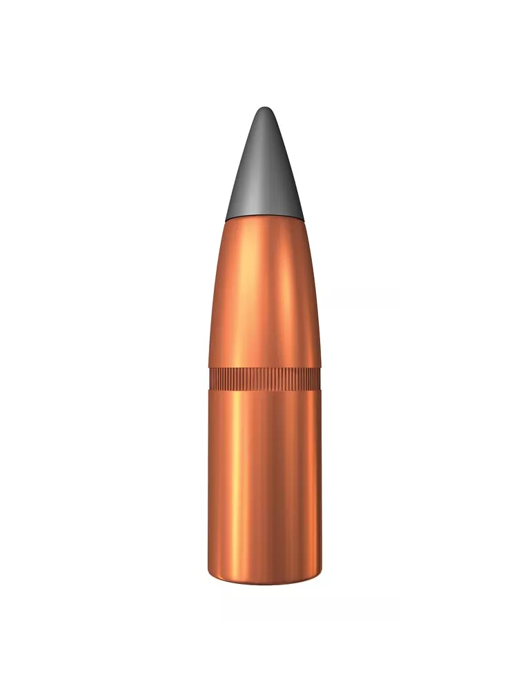 BALLES WINCHESTER WILD BOAR EXTREME POINT CAL300 WM 180 GRAINS