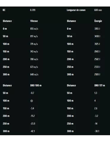 BALLES RWS EVOLUTION CAL7X64 2