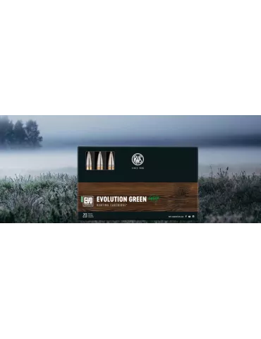 BALLES RWS EVOLUTION GREEN CAL9.3X62