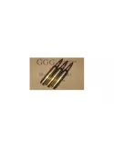 CARTOUCHES GGG CAL223 REM FMJ 55G