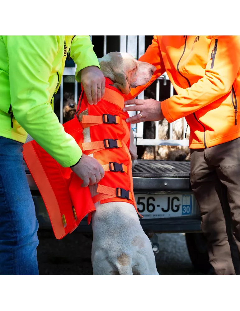 GILET CHIEN CANIHUNT PROTECT DOG AMOR V3