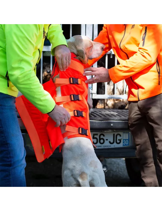 GILET CHIEN CANIHUNT PROTECT DOG AMOR V3