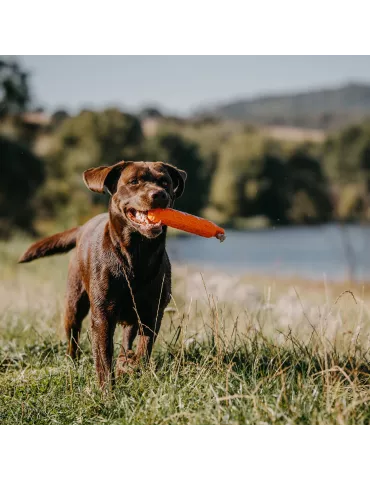 APPORTABLE BUMPER 200 GR ORANGE 2