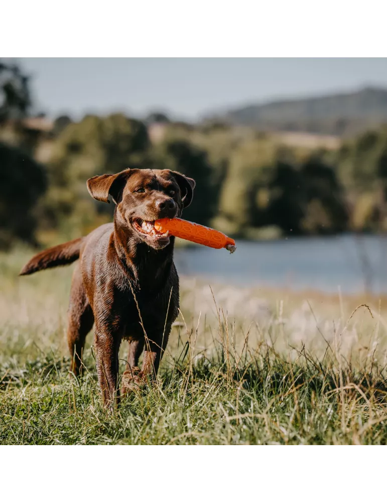 APPORTABLE BUMPER 200 GR ORANGE