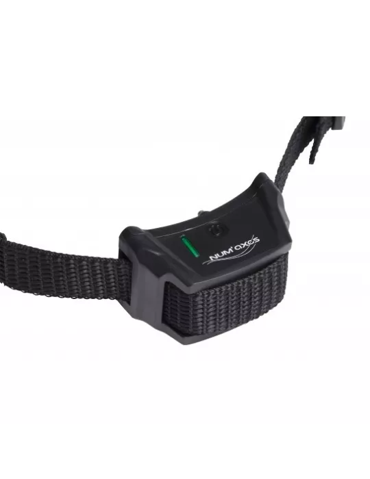 CLOTURE ANTI-FUGUE CANIFUGUE POUR CHIEN NUM'AXES