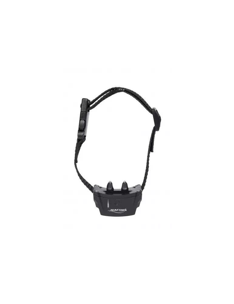 CLOTURE ANTI-FUGUE CANIFUGUE POUR CHIEN NUM'AXES