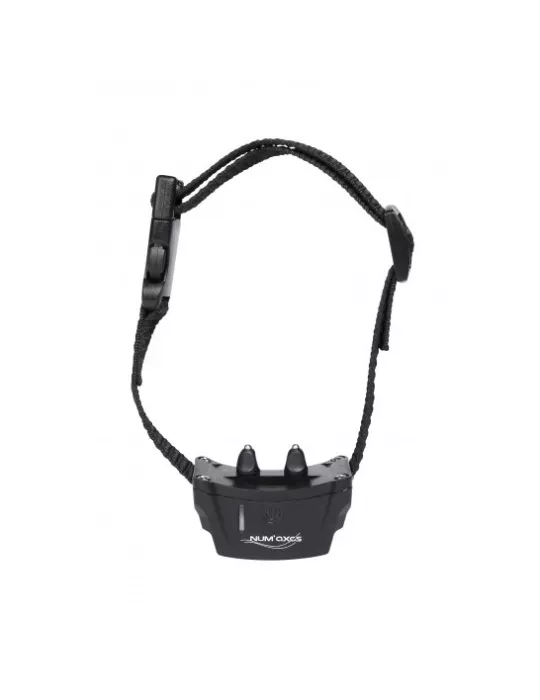 CLOTURE ANTI-FUGUE CANIFUGUE POUR CHIEN NUM'AXES