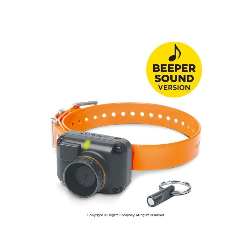 COLLIER STB BEEP-H DOGTRA