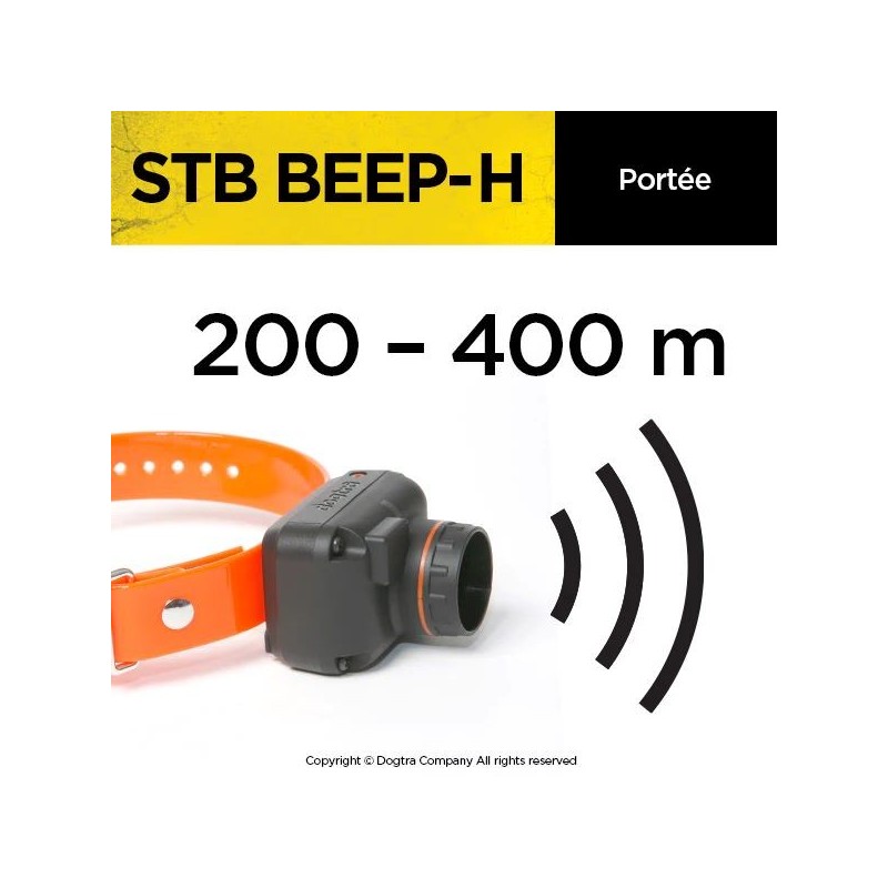 COLLIER STB BEEP-H DOGTRA