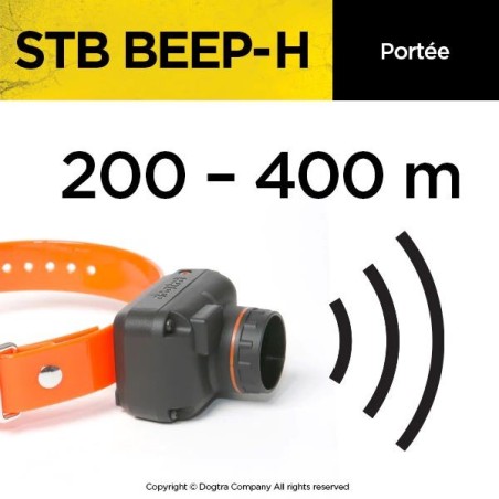 COLLIER STB BEEP-H DOGTRA