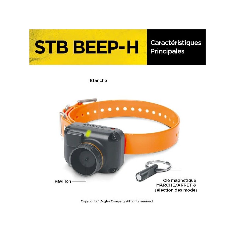 COLLIER STB BEEP-H DOGTRA