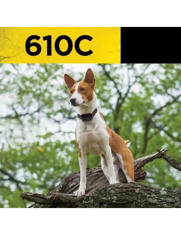 COLLIER DE DRESSAGE 610C DOGTRA 1 CHIEN - 600 M 2