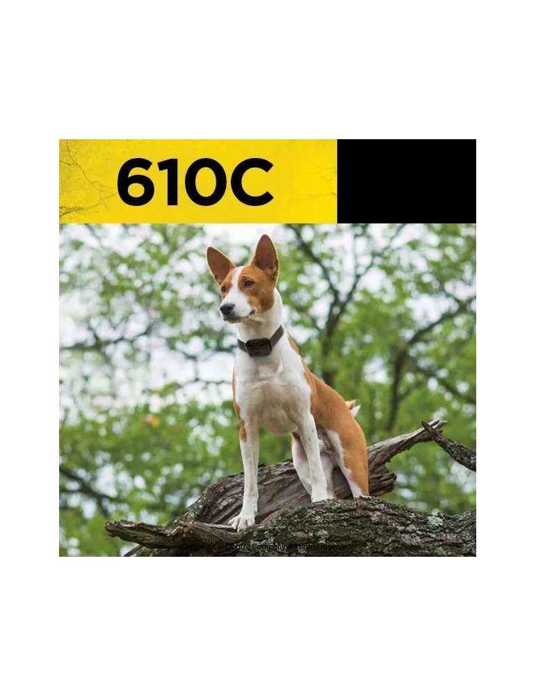 COLLIER DE DRESSAGE 610C DOGTRA 1 CHIEN - 600 M