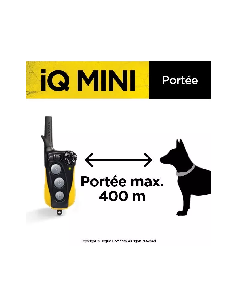 COLLIER DE DRESSAGE IQ MINI DOGTRA POUR CHIEN DE PETITE TAILLE