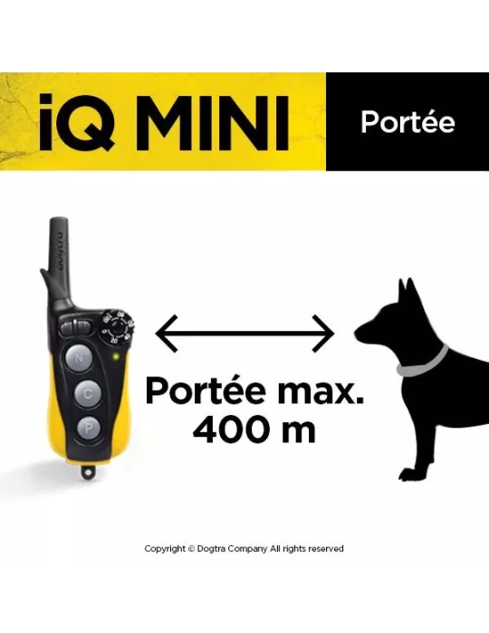 COLLIER DE DRESSAGE IQ MINI DOGTRA POUR CHIEN DE PETITE TAILLE