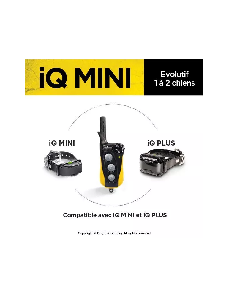 COLLIER DE DRESSAGE IQ MINI DOGTRA POUR CHIEN DE PETITE TAILLE
