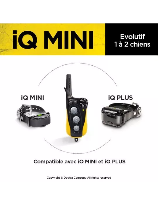 COLLIER DE DRESSAGE IQ MINI DOGTRA POUR CHIEN DE PETITE TAILLE