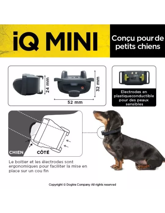 COLLIER DE DRESSAGE IQ MINI DOGTRA POUR CHIEN DE PETITE TAILLE