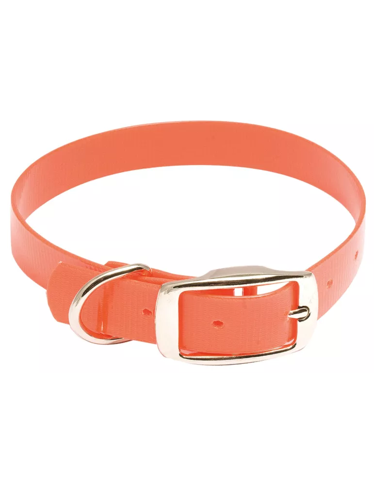 COLLIER POUR CHIEN HIFLEX FLUO ORANGE 27 CM