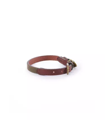 COLLIER POUR CHIEN LE CHAMEAU COTTON/CUIR TAILLE L