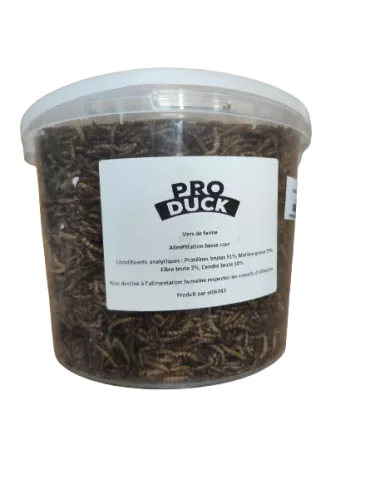 VERS DE FARINE DESHYDRATES PRO DUCK