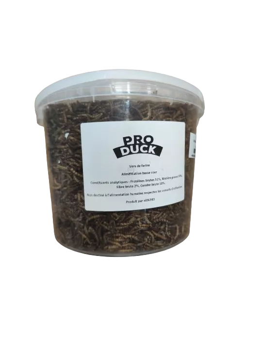 VERS DE FARINE DESHYDRATES PRO DUCK