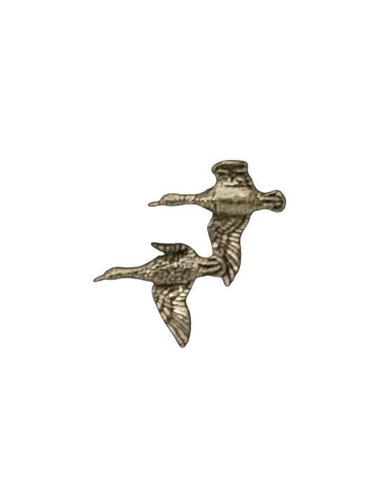 PIN'S COUPLE CANARD AU VOL
