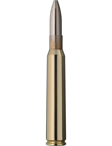 CARTOUCHES RWS 7X64 CINETIR 9G /50 2