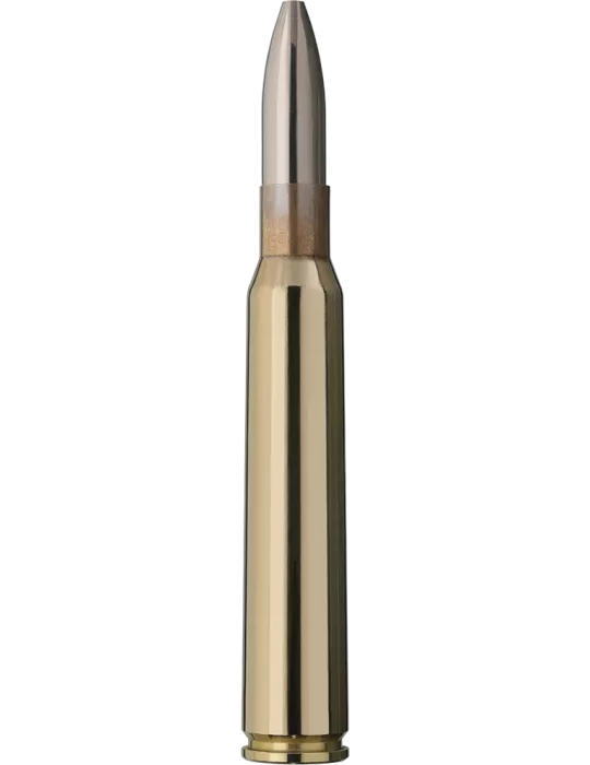 CARTOUCHES RWS 7X64 CINETIR 9G /50