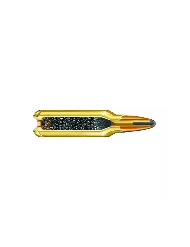 CARTOUCHES PPU PARTIZAN 8X60S 185GR GROM /20