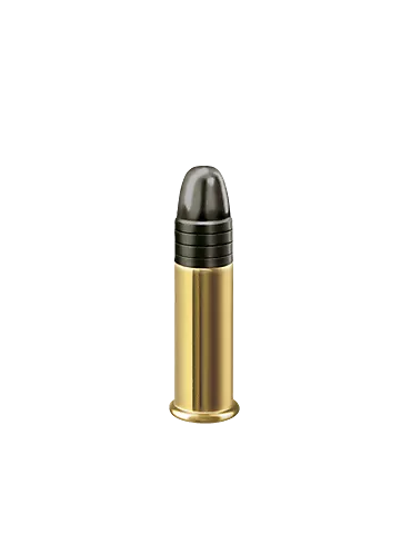 CARTOUCHES RWS TARGET RIFLE CAL22LR 2