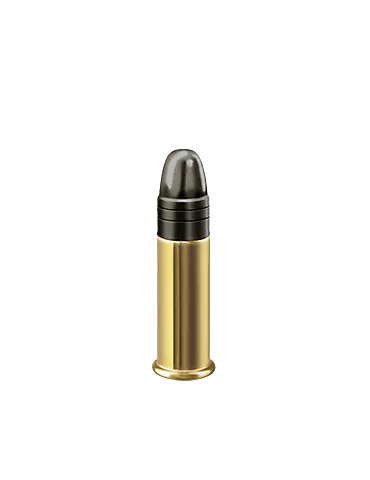 CARTOUCHES RWS RIFLE MATCH 22LR 2