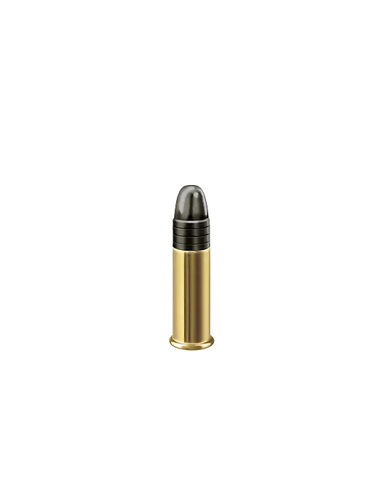 CARTOUCHES RWS CLUB 22LR