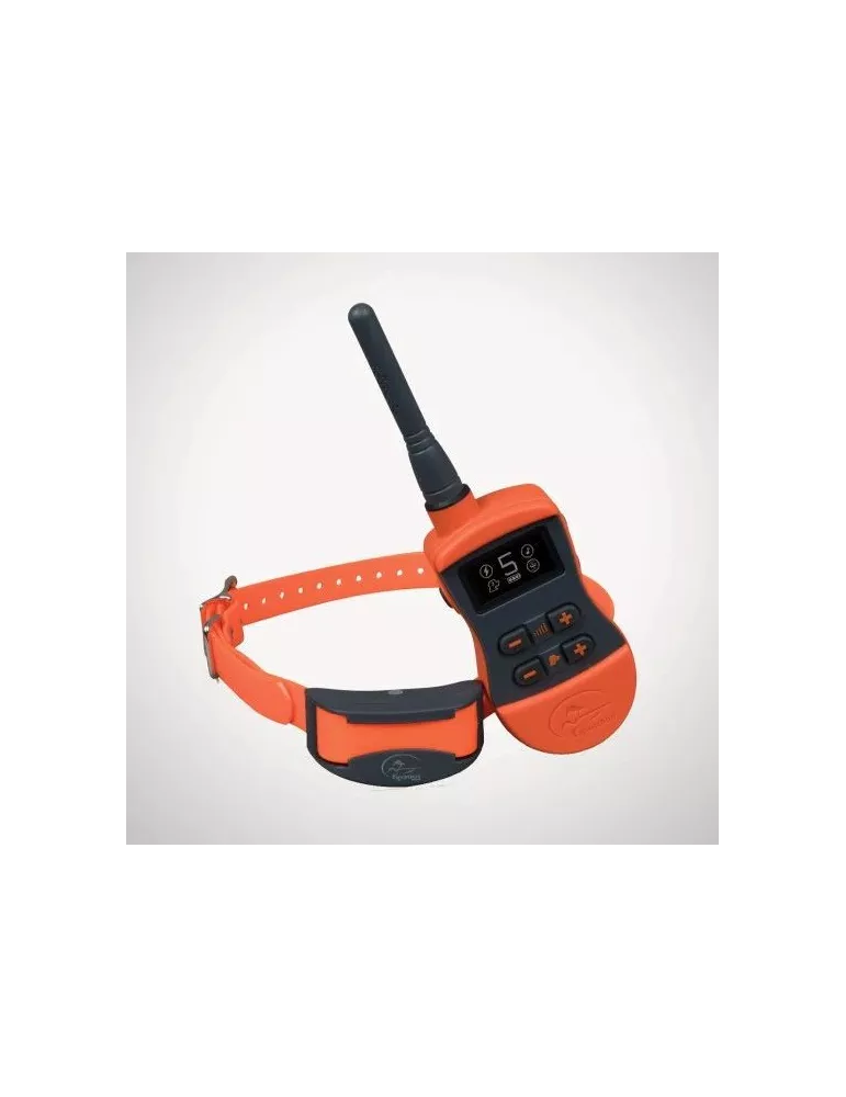 COLLIER DE DRESSAGE SPORTTRAINER SD-875E SPORTDOG 800M