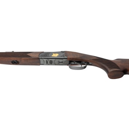 EXPRESS FAIR PREMIER BLACK MD 30-06 CANON 55CM