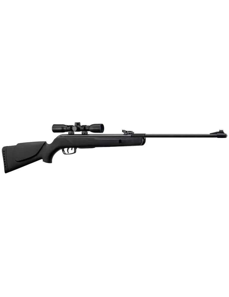 PACK GAMO BLACK 1000 19.9J CERISE 2024 CARABINE APLOMB BIG CAT 19.9J + LUNETTE 4X32 LC + CIBLES + PLOMBS