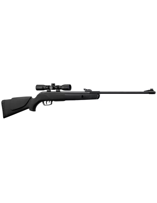 PACK GAMO BLACK 1000 19.9J CERISE 2024 CARABINE APLOMB BIG CAT 19.9J + LUNETTE 4X32 LC + CIBLES + PLOMBS