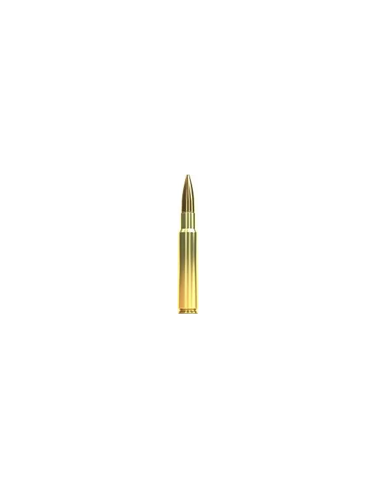 CARTOUCHE SELLIER&BELLOT CAL7.5X55 SWISS FMJ /50
