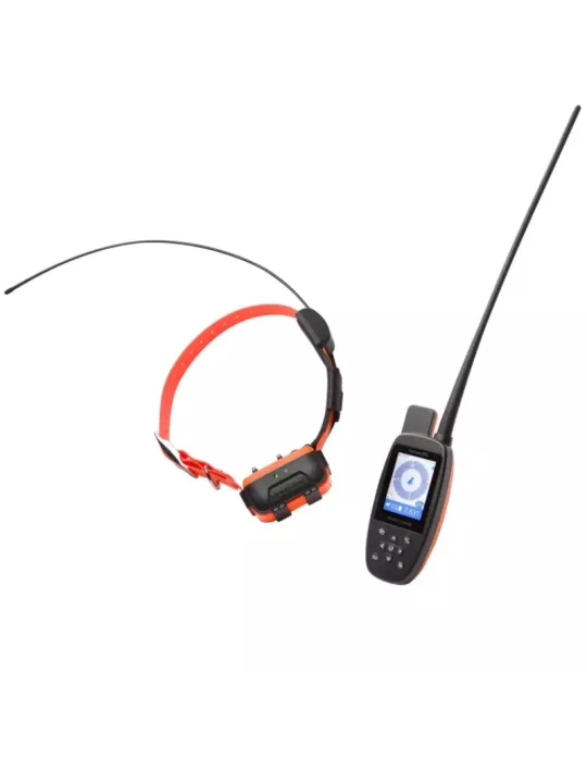 Collier de repérage et dressage Num'axes Canicom GPS